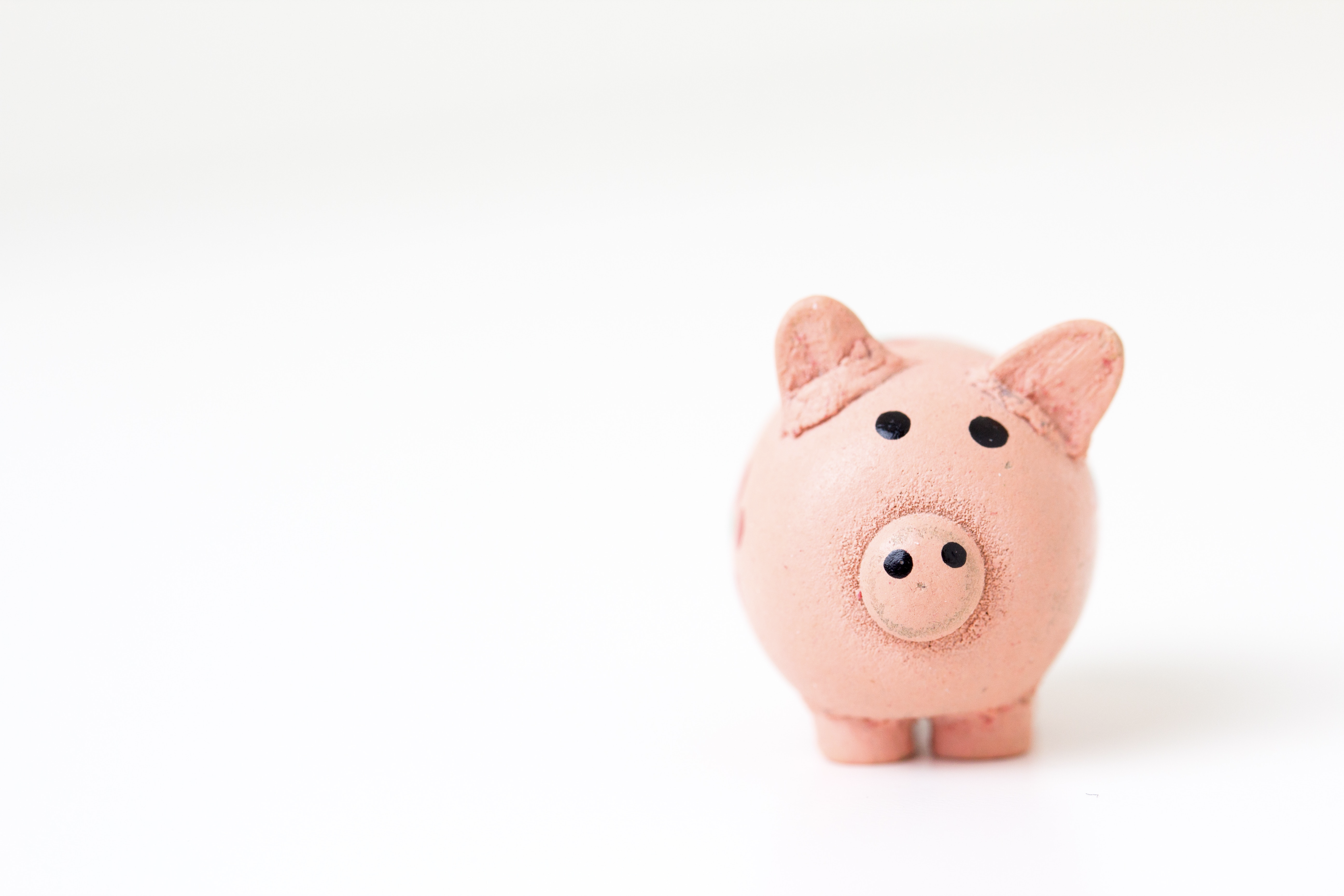 A piggy bank in the shape of a pig on a white background